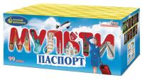 Мультипаспорт Салют купить в Ухте | uhta.salutsklad.ru
