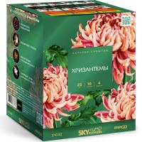 Хризантемы Фейерверк купить в Ухте | uhta.salutsklad.ru