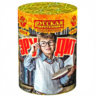 Эрудит Салют купить в Ухте | uhta.salutsklad.ru