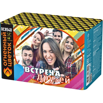 Встреча друзей Фейерверк купить в Ухте | uhta.salutsklad.ru