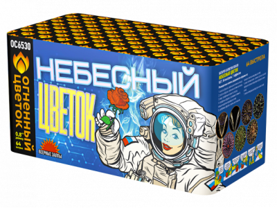 Небесный цветок Салют купить в Ухте | uhta.salutsklad.ru