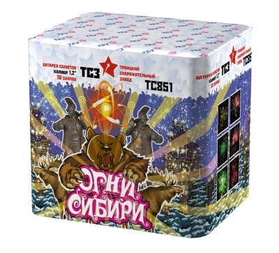 Огни Сибири Салют купить в Ухте | uhta.salutsklad.ru