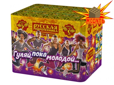 Гуляй, пока молодой... Фейерверк купить в Ухте | uhta.salutsklad.ru