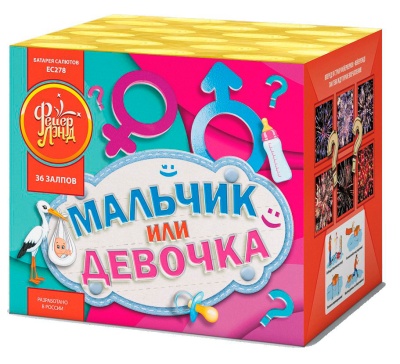 Мальчик или девочка М Фейерверк купить в Ухте | uhta.salutsklad.ru
