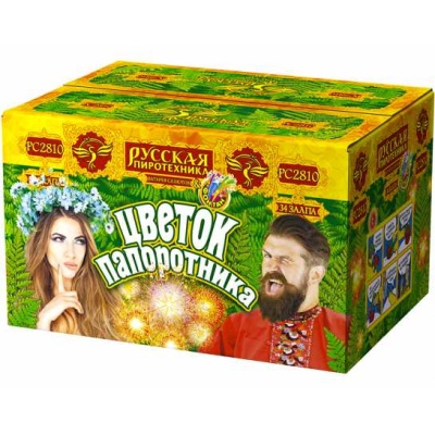 Цветок папоротника Фонтан фейерверк купить в Ухте | uhta.salutsklad.ru