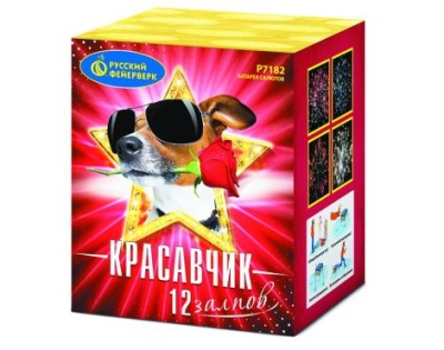 Красавчик Салют купить в Ухте | uhta.salutsklad.ru